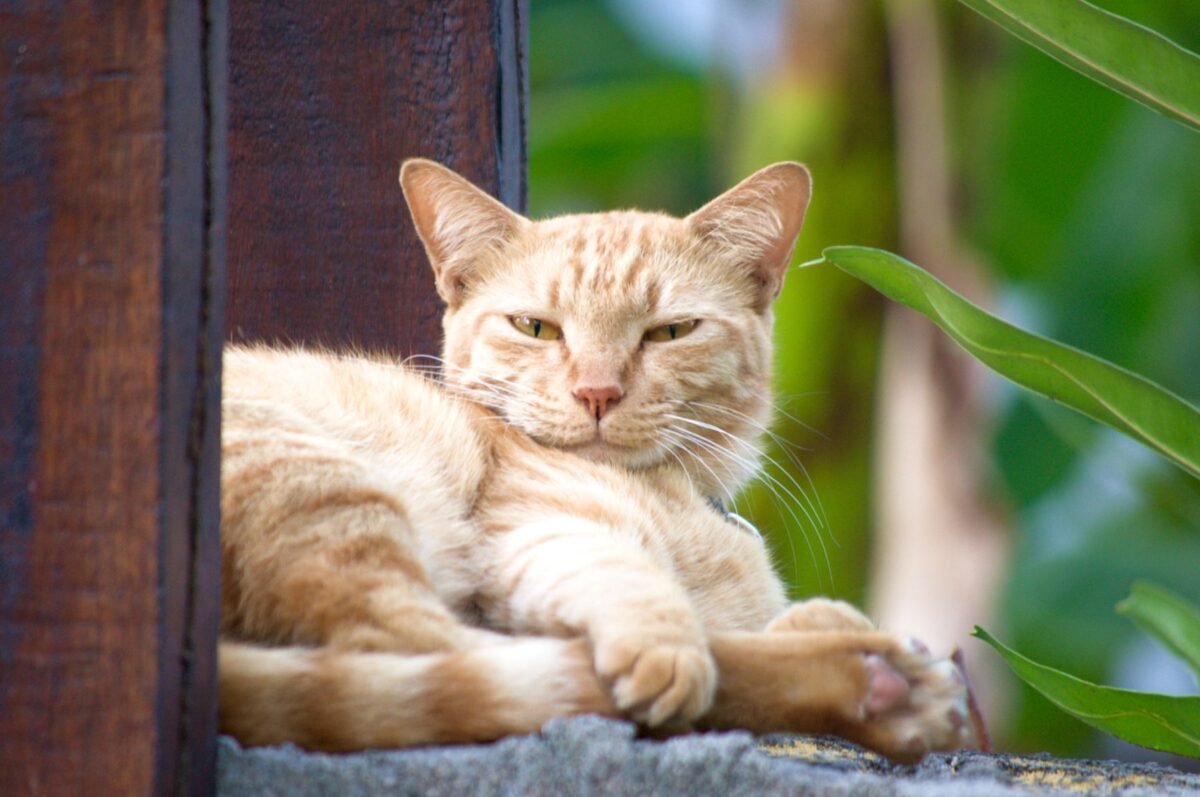 Gili-islands-common-mistakes