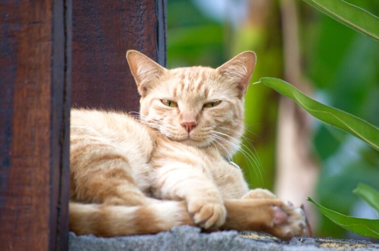 Gili-islands-common-mistakes